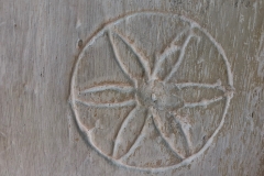 Compass drawn daisy wheel