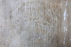 Daisy wheel, concentric circle (hand drawn)