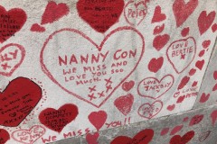 Nanny Con