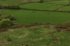 View from Brentor